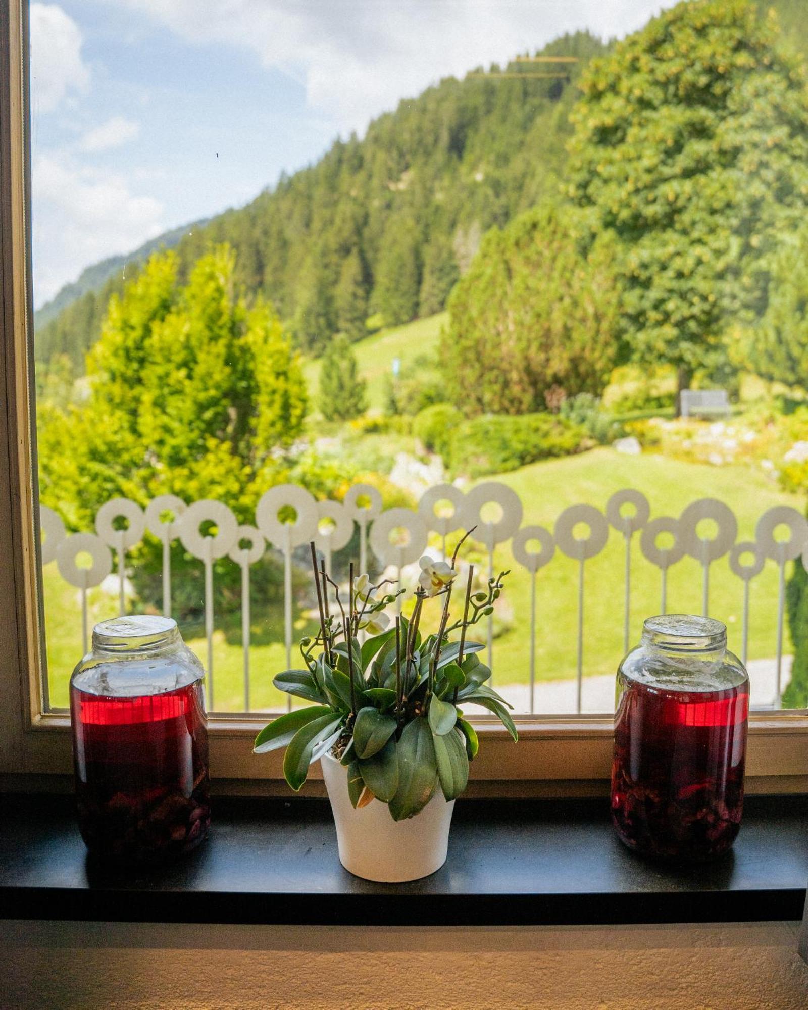 Aparthotel Pfeffermuehle Ramsau am Dachstein Εξωτερικό φωτογραφία