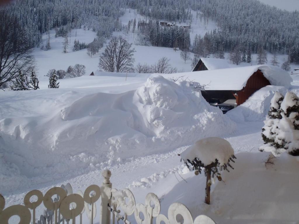 Aparthotel Pfeffermuehle Ramsau am Dachstein Εξωτερικό φωτογραφία